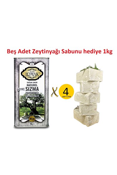 altın ırmak Soğuk Sıkım Natürel Sızma Zeytinyağı 5litrex4adet=20litre : 1kg z...