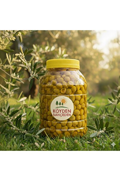 KÖYDENBAHÇEDEN Çekirdeksiz Yeşil Zeytin 5 Kg Yeni Sezon 2022