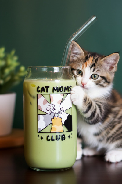 Pinterest Cup CAT MOM Patterned Heat Resistant Borosilicate Coffee Serving Cup with 2 Glass Straws