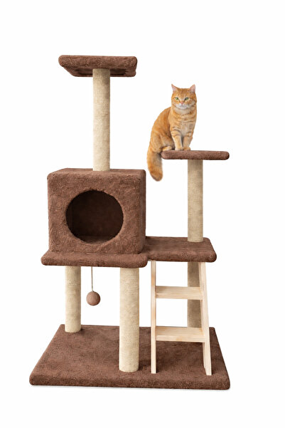 Catoys Çok Katlı Kedi Tırmalama Platformu Merdivenli Kedi Evi (Kahverengi)