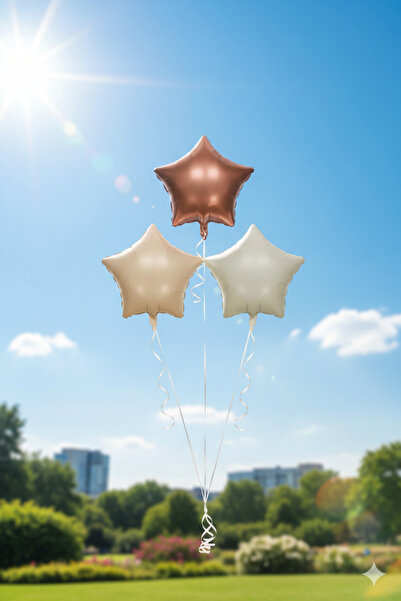 Deniz Party Store Retro Sea Sand Caramel Dark Cream Beige 3-Piece Foil Star B...