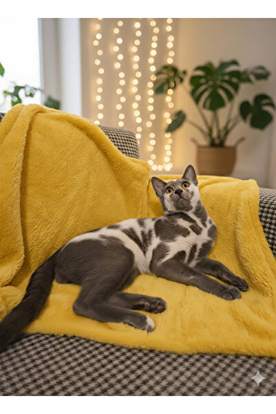ÇAKIL Kedi ve Köpek Battaniyesi Welsoft Kumaş