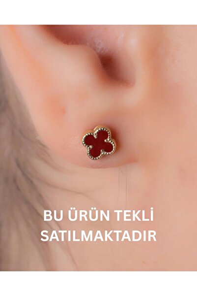 YCL JEWELLERY 14 Ayar Altın (TEKLİ) Altın Kadife Bordo Yonca Küpe