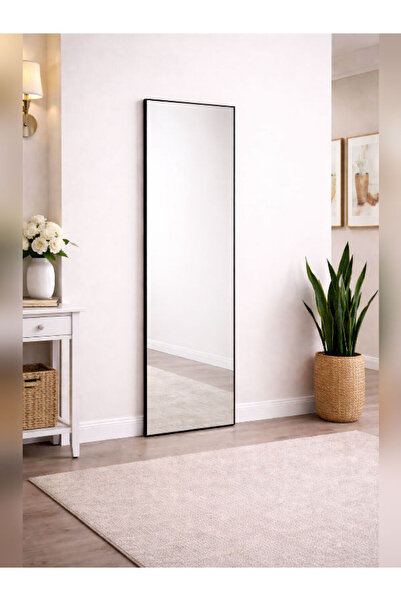 unbranded FULL BODY SIZE MIRROR RECTANGLE SHAPE BLACK FRAME