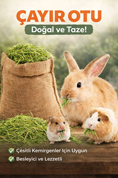 POLYBOTUM Doğal Çayır Otu Kemirgen Yemi Tavşan Hamster Ginepig Chinchilla Doğ...