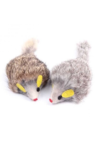 FOXMAG24 Set of 2 interactive cat toys, Brown/Grey Mouse