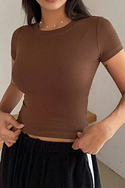 ROSAMİNA Women's brown Ribbed Knit short sleeve blouse