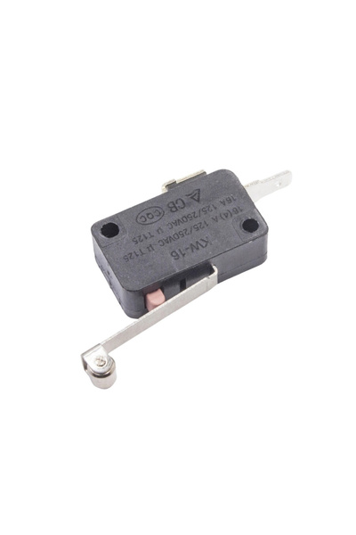 Genel Markalar KW16 Micro Switch NO 2-Pin