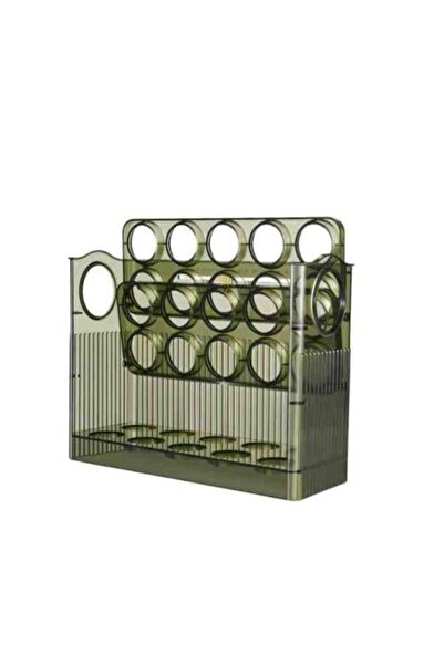 Generic Practical and Elegant Egg Organizer