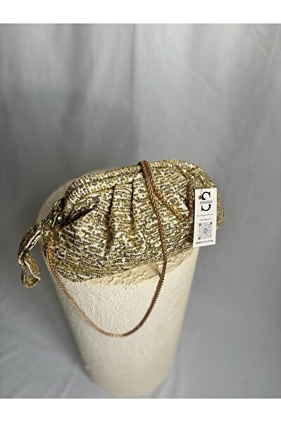 Swaggo collections Women's Silvery Scholarship/Portfolio Hand and Shoulder Bag