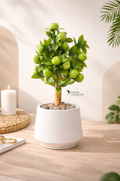YAPAY ÇİÇEKÇİNİZ Artificial Green Apple Tree in a White Pot with Stone and Ba...