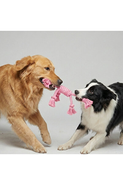 Tailpetz لعبة سحب الكلاب المربعة المزودة بالحبال