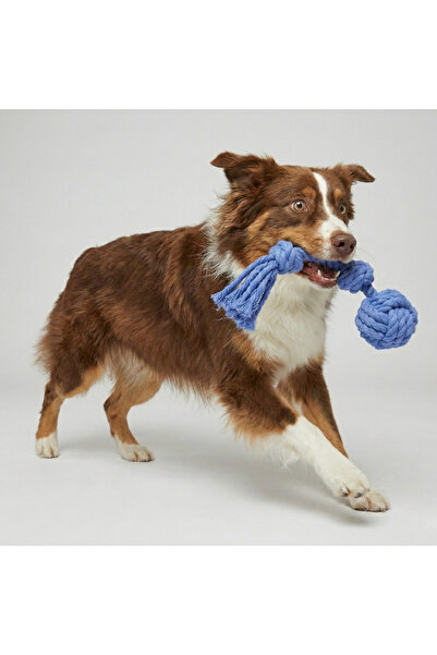 Tailpetz Rope Single Ball Dog Tug Toy