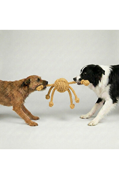 Tailpetz Multi-Armed Dog Tug Toy