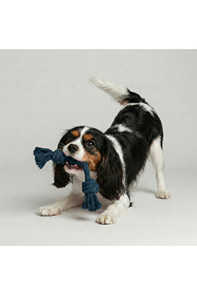 Tailpetz Knotted Dog Chew Toy