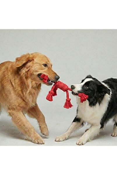Tailpetz Rope Four-Way Dog Tug-Of-War Toy