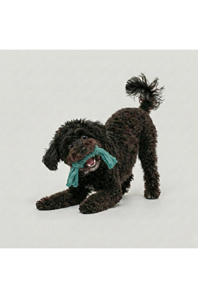 Tailpetz Twisted Dog Chew Toy