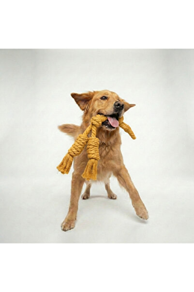 Tailpetz Twisted Double Dog Tug Toy