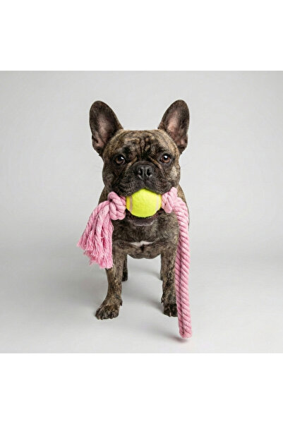 Tailpetz لعبة كرة التنس للكلاب مع حبل طويل قابل للسحب