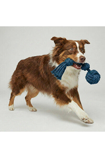 Tailpetz Rope Single Ball Dog Tug Toy