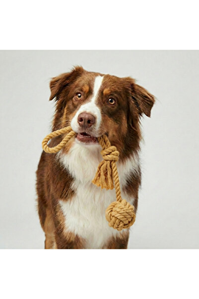 Tailpetz Long Rope Single Ball Dog Tug Toy