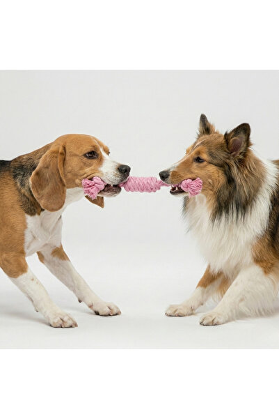 Tailpetz لعبة سحب الحبل المجدولة للكلاب