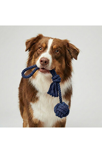 Tailpetz Long Rope Single Ball Dog Tug Toy