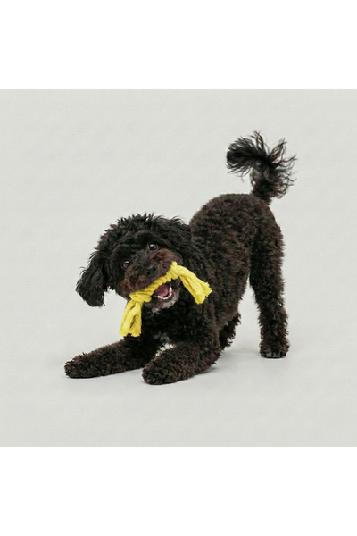 Tailpetz Twisted Dog Chew Toy