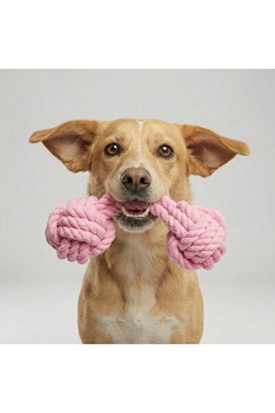 Tailpetz لعبة سحب الكلاب بكرةين مع حامل