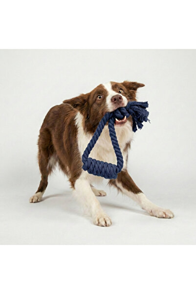 Tailpetz Twisted Pull-Along Dog Toy