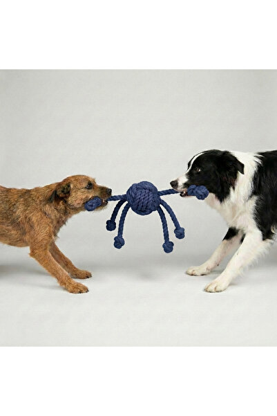 Tailpetz Multi-Armed Dog Tug Toy