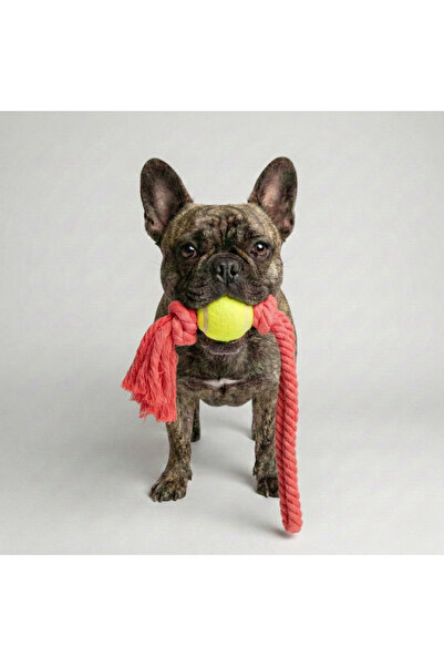Tailpetz Rope Long Pull Tennis Ball Dog Toy
