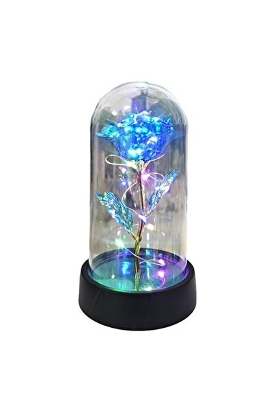 Flippy Rose in Dome, Flippy, with Multicolored Led Light, Batteries, 8.5 x 15...