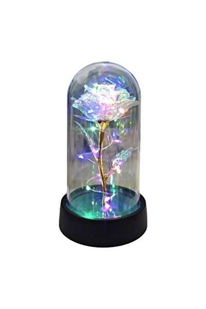 Flippy Rose in Dome, Flippy, with Multicolored Led Light, Batteries, 8.5 x 15...