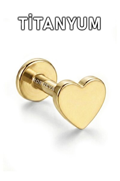 MORNEVA Titanyum Minicik Kalp Helix Tragus Flat Conch Lobe Kulak Piercingi (1...