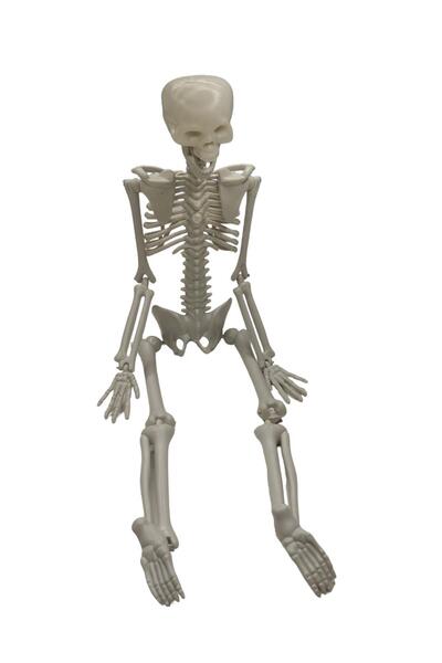 sfs elektrik iskelet 42 cm