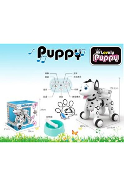 PlayFun Robot Cățel Inteligent cu Telecomandă și Lumini