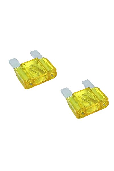 Generic 2 × 20 أمبير فيوز شفرة ماكسي للسيارات والشاحنات والجرارات (20 أمبير)