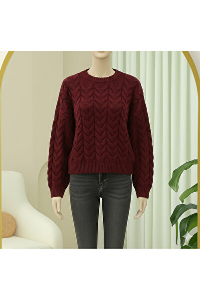 bellura Knitted Patterned Crop Knitwear Sweater