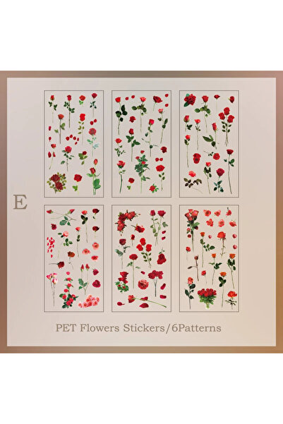 Choice4 ملصقات شفافة من مادة PET، 6 قطع/عبوة، مواد سكرابوكينغ، اصنع بنفسك دفت...