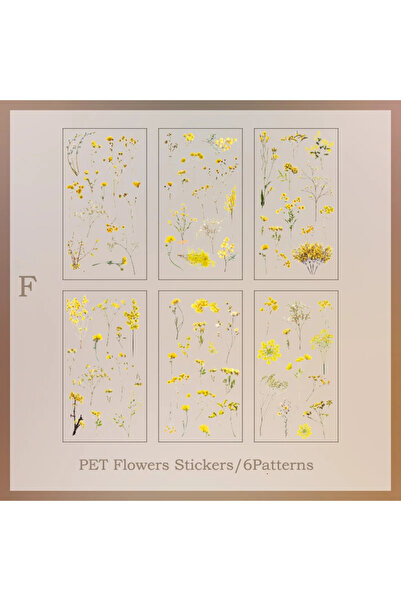 Choice5 ملصقات شفافة من مادة PET، 6 قطع/عبوة، مواد سكرابوكينغ، اصنع بنفسك دفت...