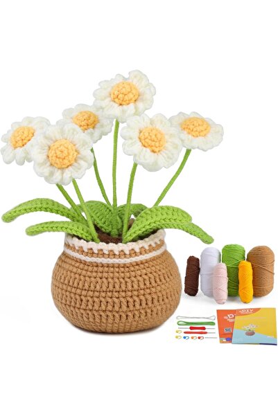 choice2 مجموعة ديزي ميوسي لتعليم عزف الكريشة للمبتدئين، مجموعة نباتات مزهرة ف...