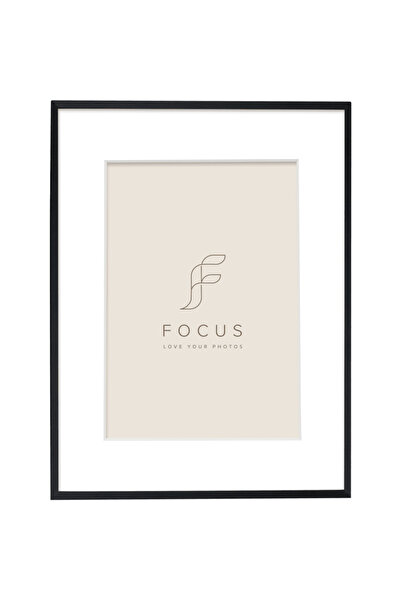 Focus Aster Frame