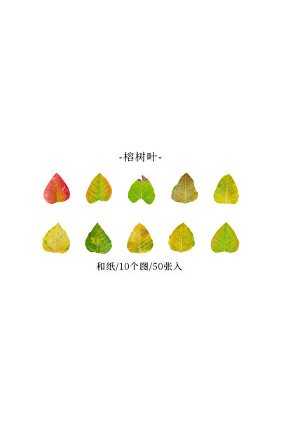 Choice4 مجموعة من 50 قطعة من ملصقات أوراق الخريف الصفراء، ملصقات نباتية إبداع...