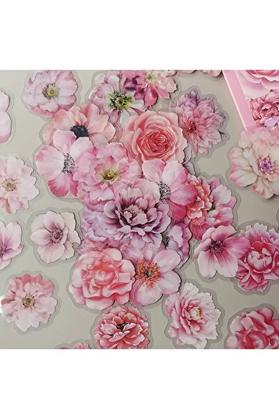 Choice3 C 50 قطعة/عبوة ملصقات زهور ونباتات إبداعية كاواي، ملصقات يدوية، ملصقا...