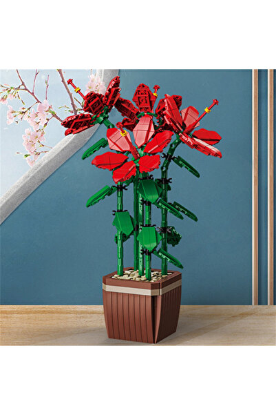 Choice11 101-13 سيتي كرييتيفيتي باقة زهور سيمبيديوم فابيري باي نبات مزروع في ...