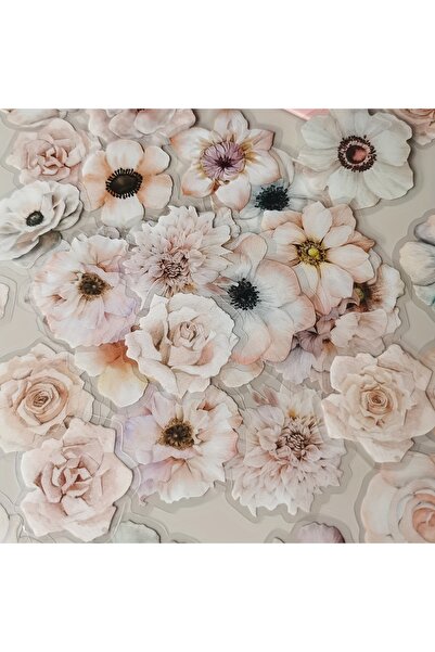 Choice5 A 50pcs/pack Vintage Watercolor Flower Plant Stickers DIY Diary Decor...