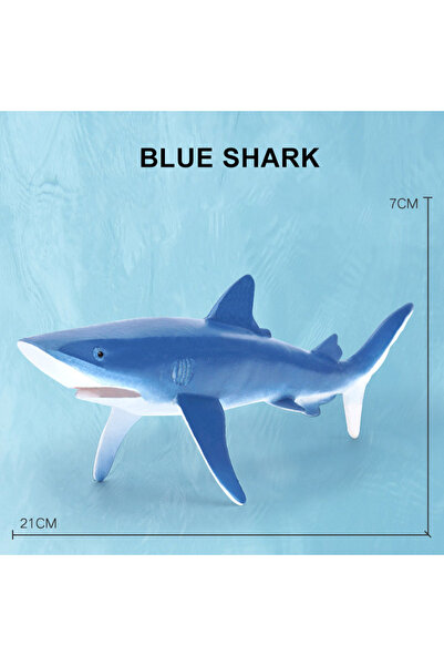 Choice3 مجسمات أسماك القرش الأزرق، مجسمات حيوانات بحرية، مجسمات حيتان، مجسمات...