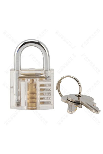 Choice6 Type3 small size Lksmith Transparent Lks k Visible Cutaway Mini Pract...