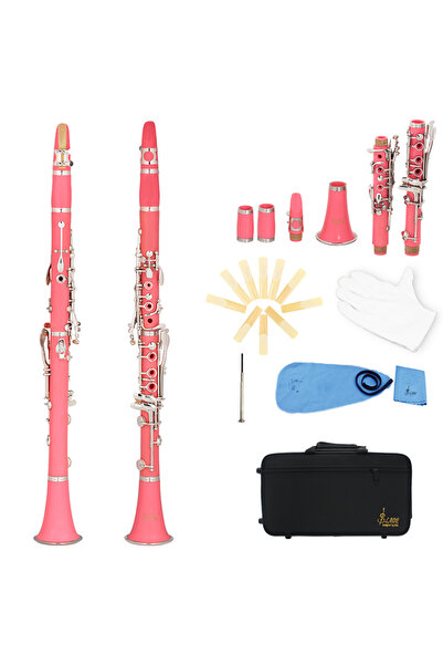 Choice4 كلارينيت سليد وردي اللون من نوع Bb، 17 مفتاحًا، مصنوع من الباكليت وال...